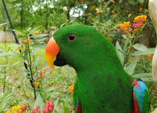 Photo of Keiko